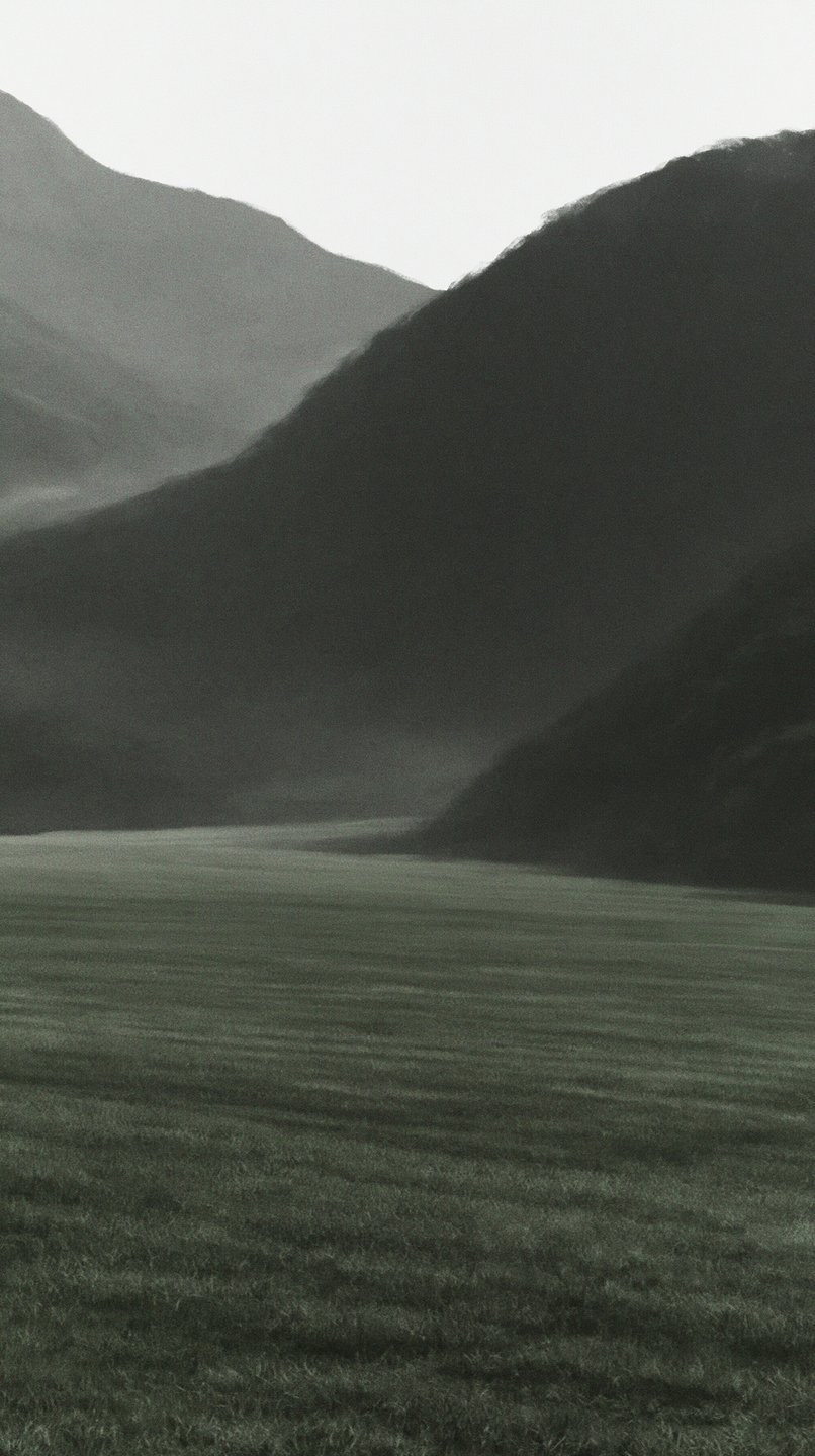 Dark misty mountains rise above a vast, desaturated green valley under a soft overcast sky.