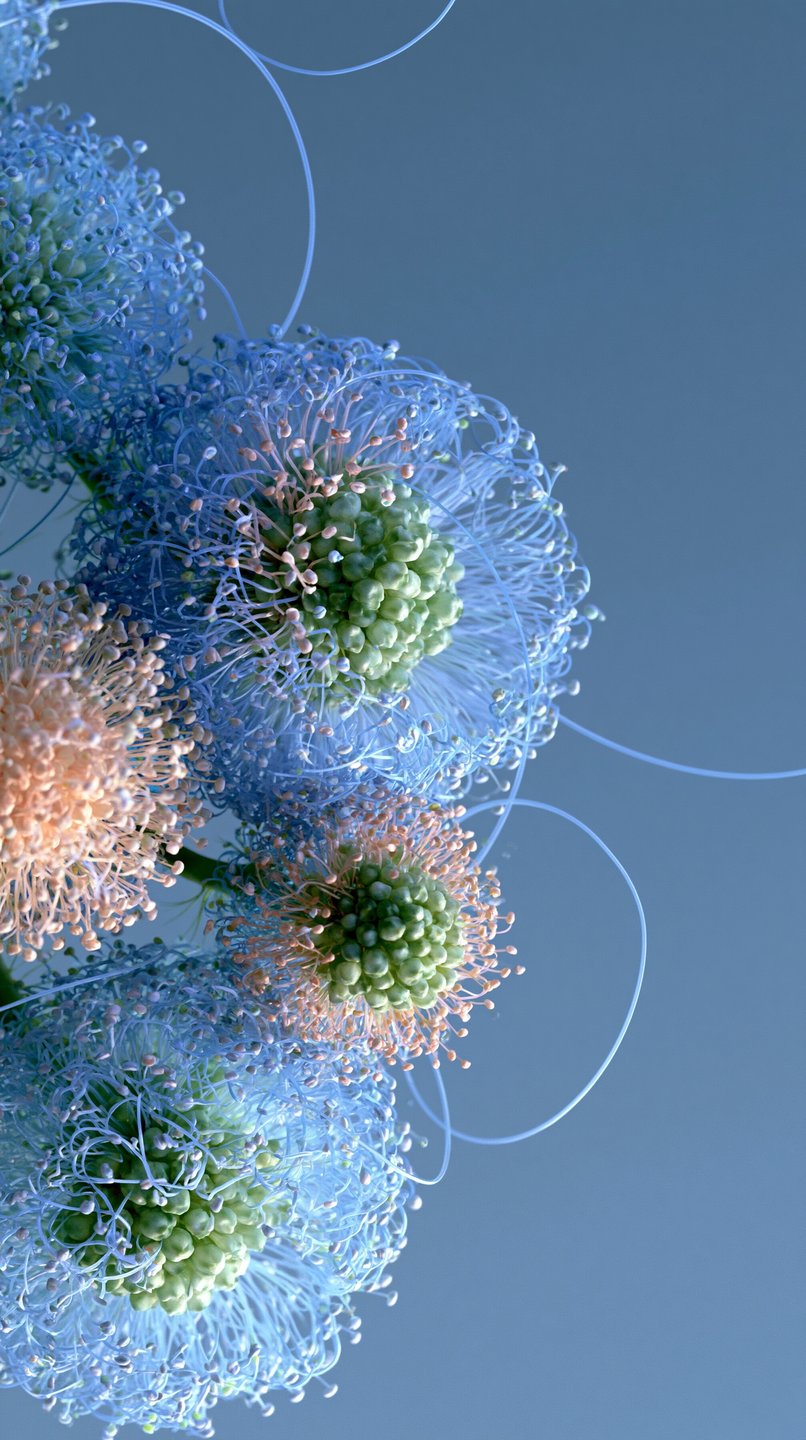 Delicate blue and peach spherical flowers with looping tendrils arranged against a solid light blue background.