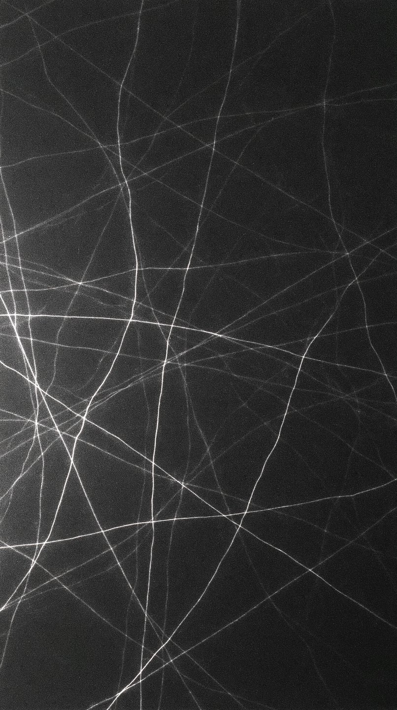 Fine white lines intersect in a chaotic, web-like pattern across a dark, textured black background.
