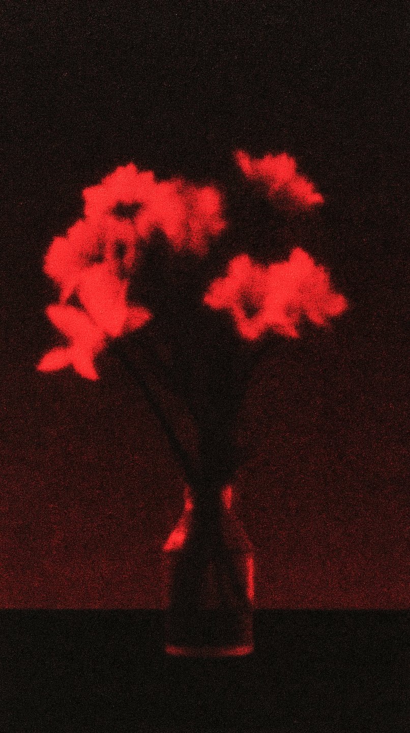 Grainy red silhouette of flowers in a vase glowing against a dark textured background.