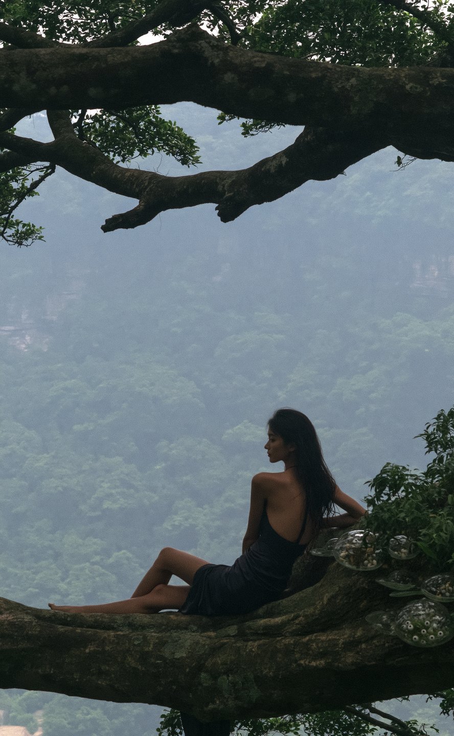 Woman in a dark backless dress reclines on a massive tree branch overlooking a misty green valley.