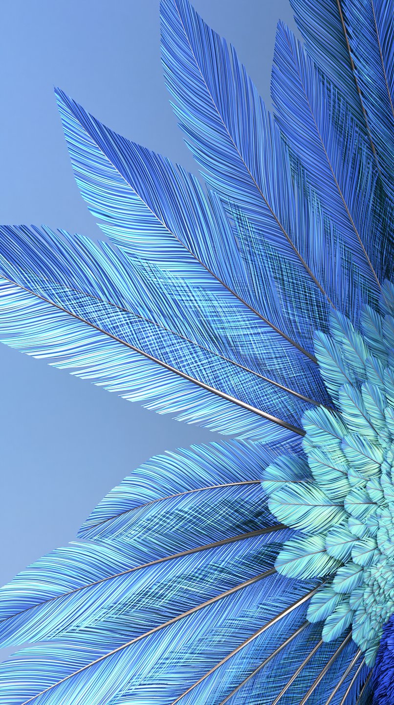 Stylized blue and cyan feathers fan out in a radial pattern against a soft blue background.