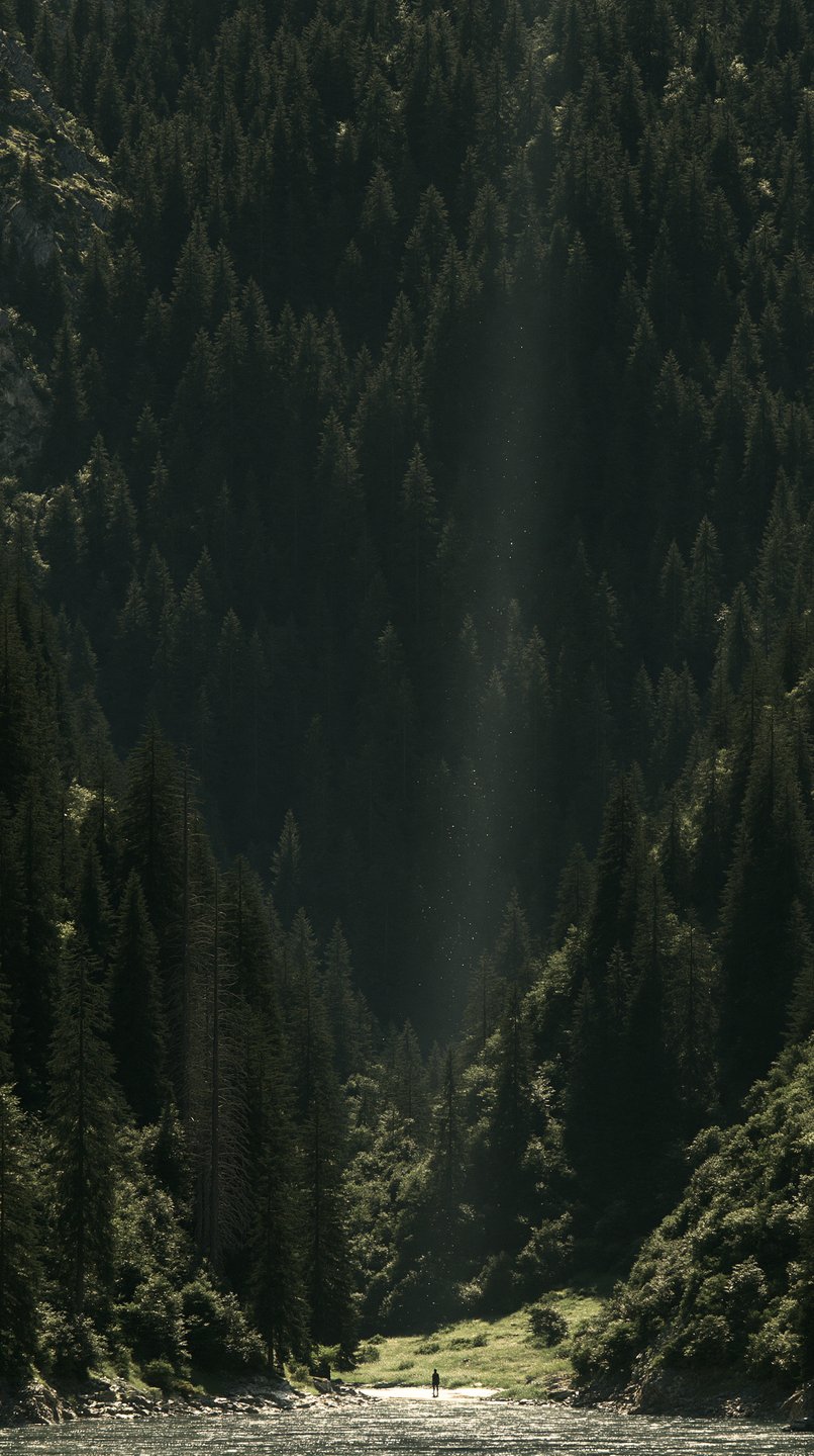 A tiny solitary figure stands in a vast forest valley illuminated by a dramatic shaft of sunlight.