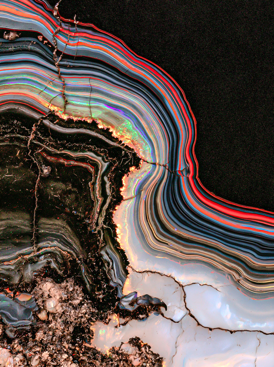 Close-up cross section of Fordite showing curved multicolored layers and iridescent fissures against dark substrate.