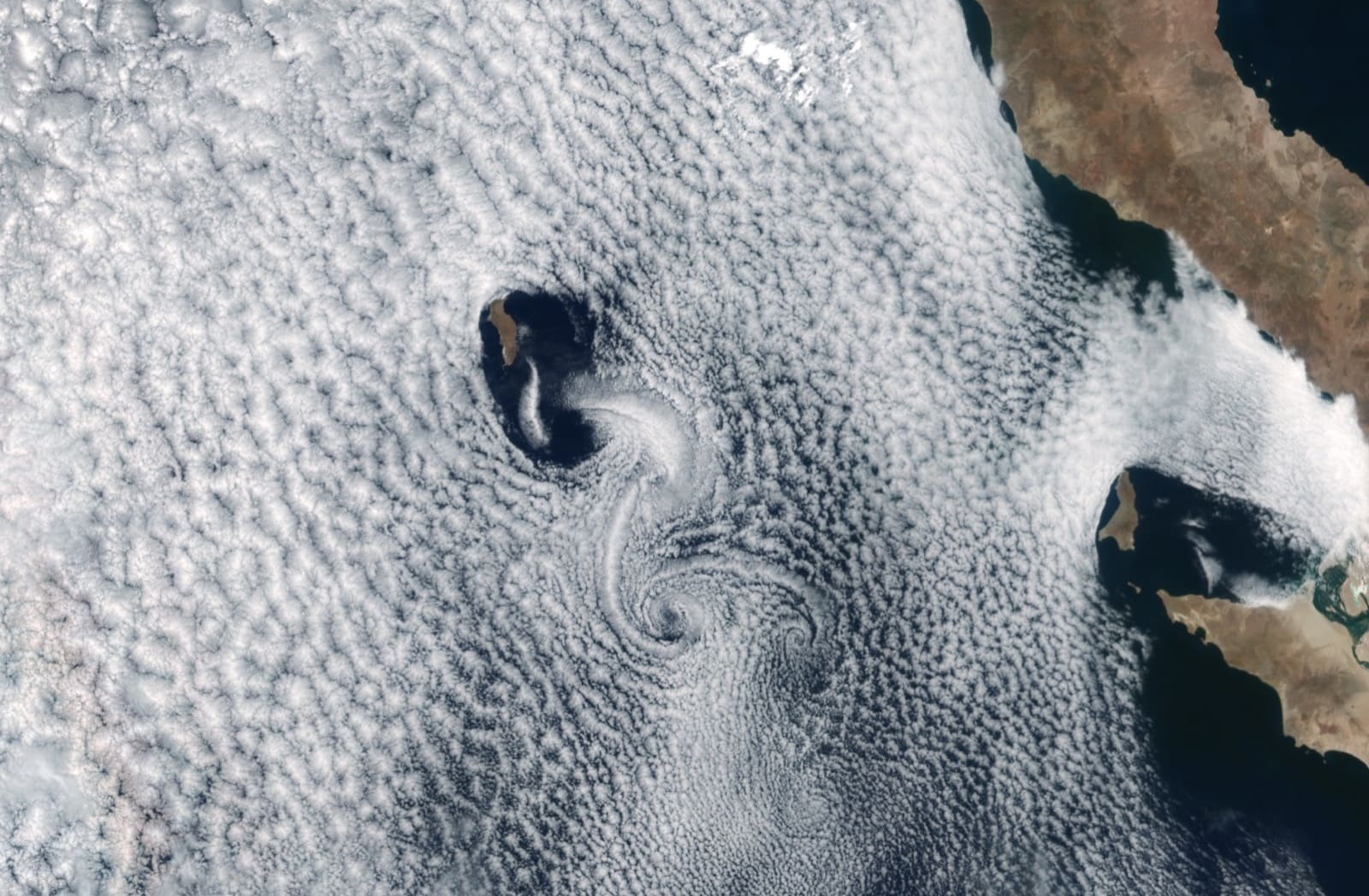 What is a von Kármán vortex street (and how to make one in your browser)