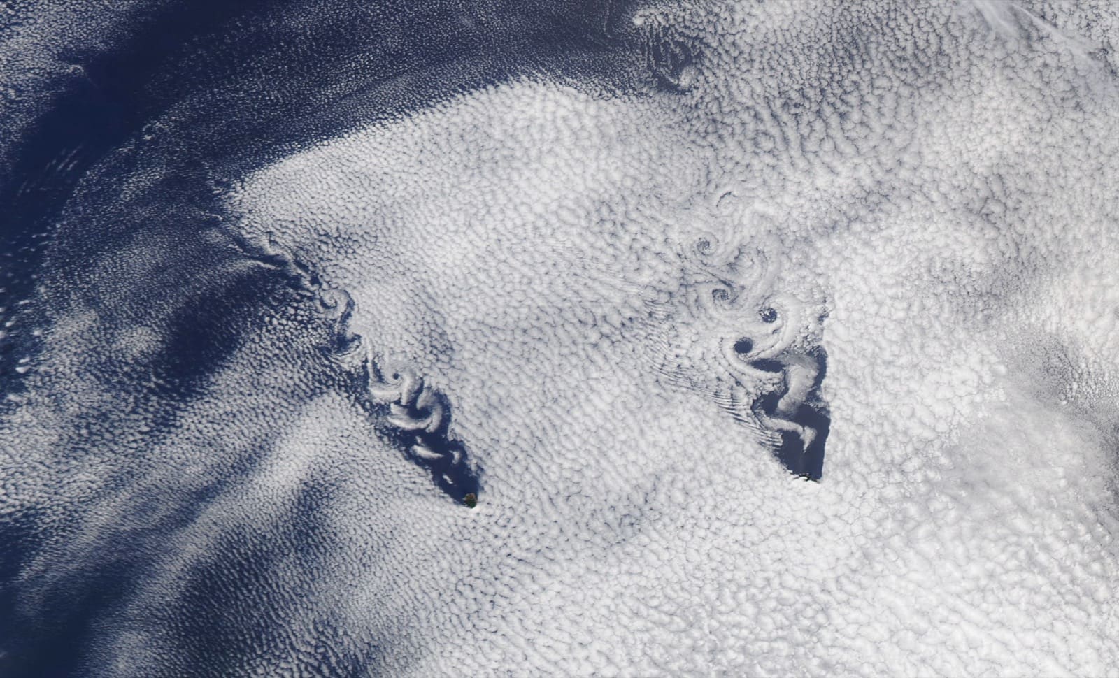 Two small trails of curling cloud behind the Juan Fernández Islands in a field of stratocumulus