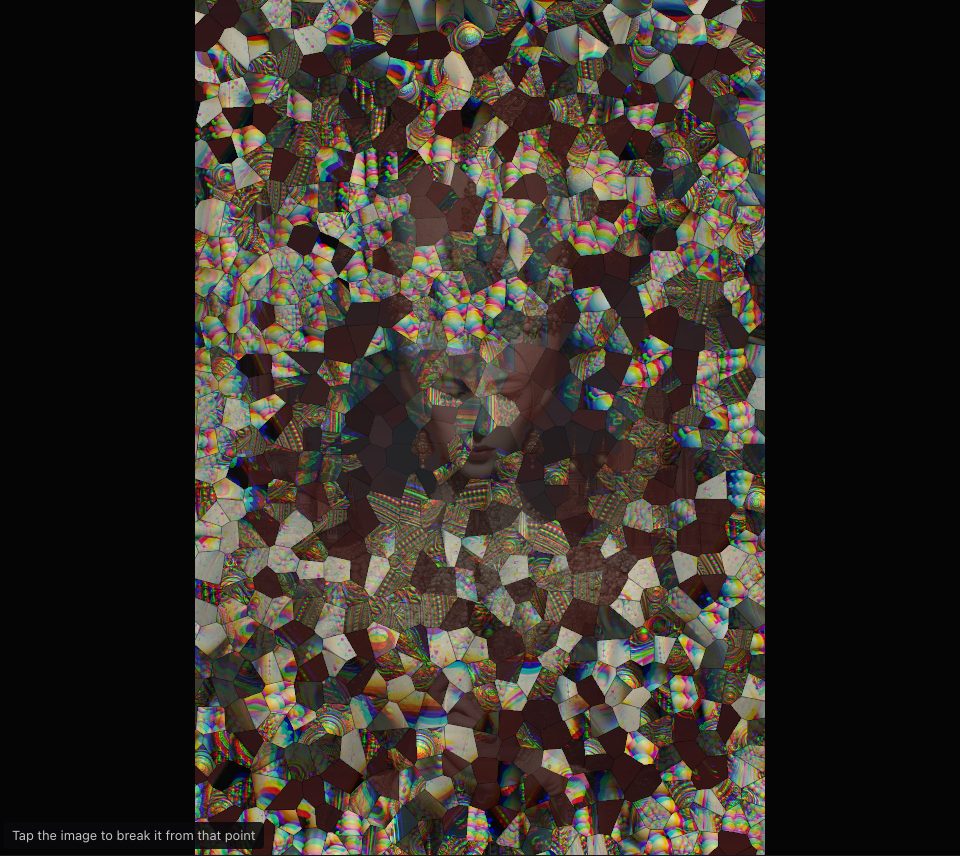 Hundreds of small, bright pieces cover the frame, with a gap in the middle where a veiled face shows through