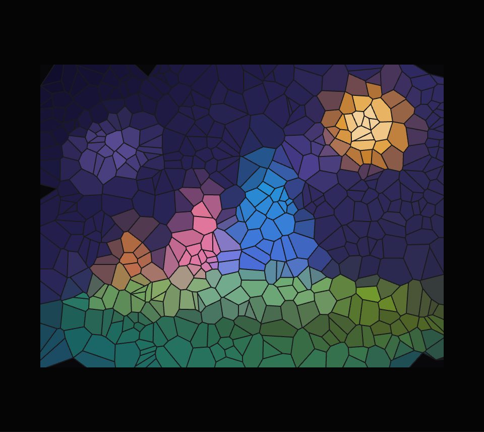 The sample picture as uneven many-sided cells of flat colour, each outlined in a dark line like stained glass